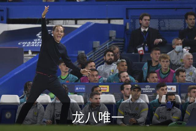 龙八唯一公司简介图片